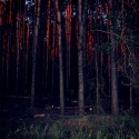 wM-dnOv8C7c